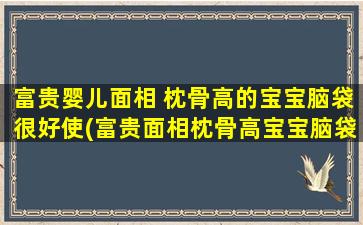 富贵婴儿面相 枕骨高的宝宝脑袋很好使(富贵面相枕骨高宝宝脑袋灵活：探秘富贵婴儿特征及智力发育)